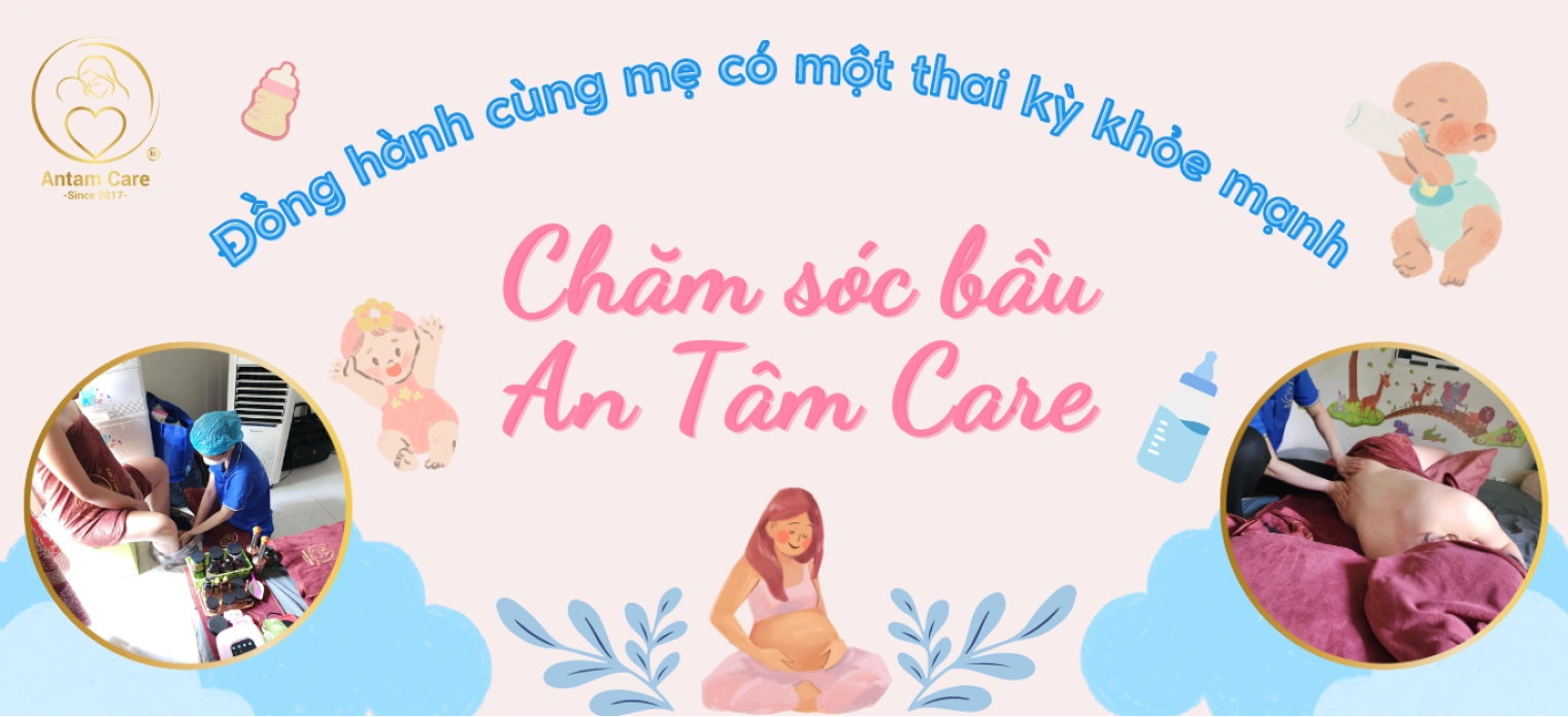 An Tâm Care